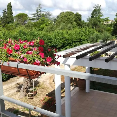 Charme Natural Alberobello